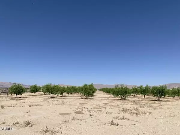 Lucerne Valley, CA 92356,12500 Locust AVE