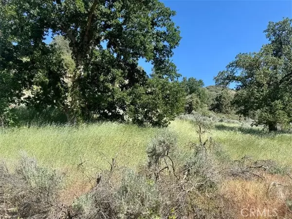 0 Butterfield WAY, CA 93561