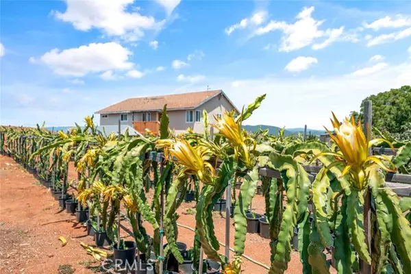 Fallbrook, CA 92028,1996 Rainbow Glen RD