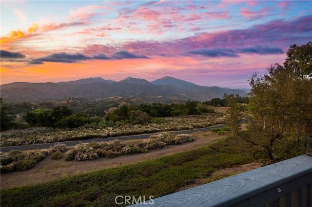 Rancho Santa Margarita, CA 92688,37 Lobelia