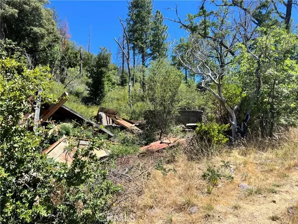 Cobb, CA 95426,10725 Gifford Springs RD