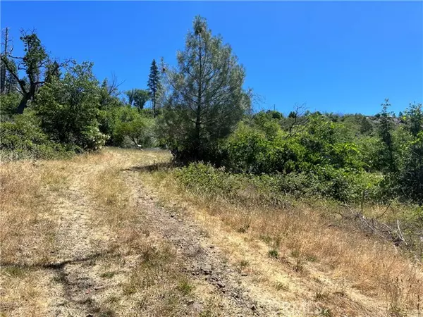 Cobb, CA 95426,10725 Gifford Springs RD