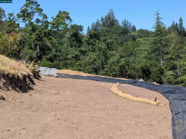 Orinda, CA 94563,13 St James Ct