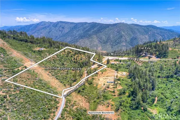 Oroville, CA 95965,12059 Andy Mountain RD