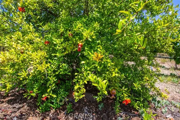 Murrieta, CA 92562,0 Via Herradura
