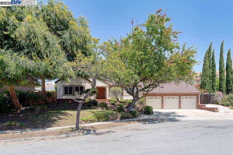 41366 Charlita Ct, Fremont, CA 94539