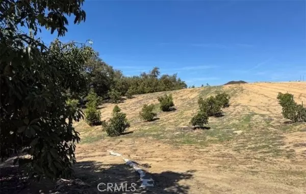 1 Monte Rancho, Temecula, CA 92590