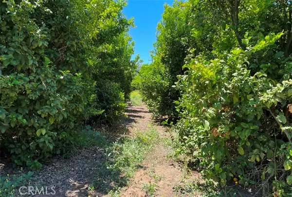 Temecula, CA 92590,1 Vista Del Mar