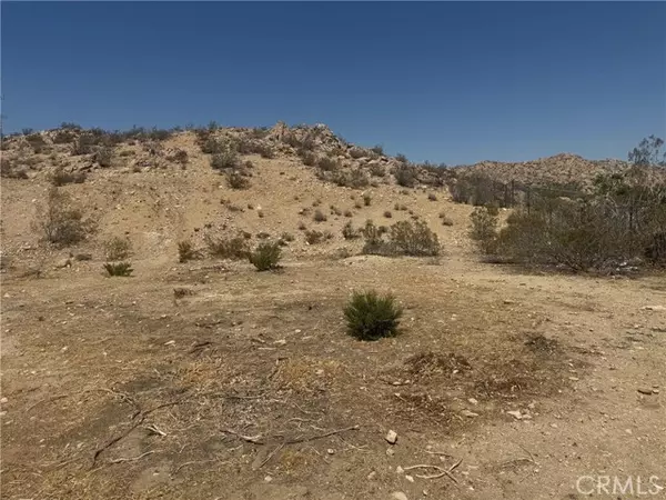 Lake Los Angeles, CA 93591,162 High Chaparral
