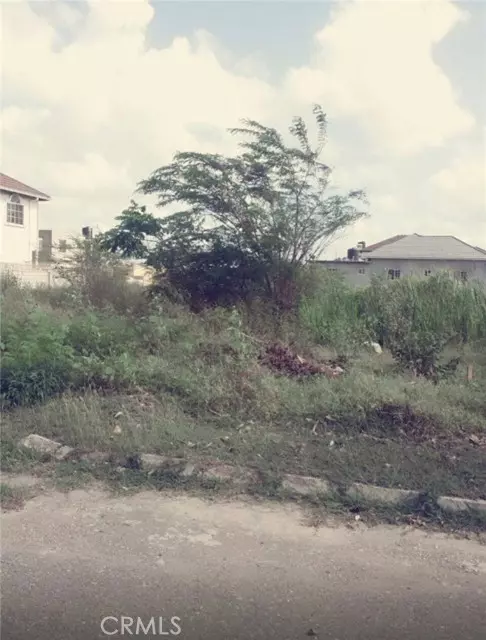 Los Angeles, CA 00000,121 Ivy LN