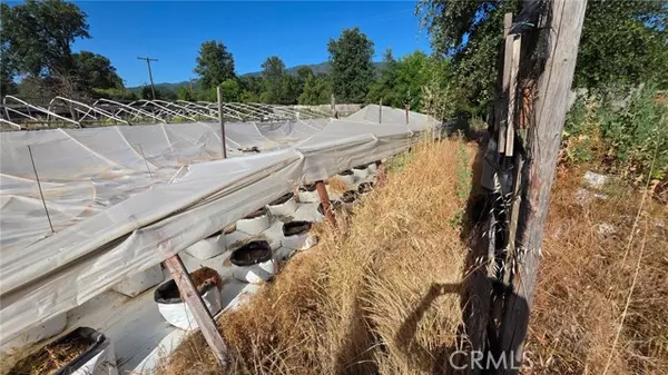 Covelo, CA 95428,23141 Biggar LN
