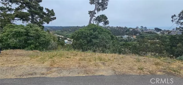 Cambria, CA 93428,0 Croyden LN