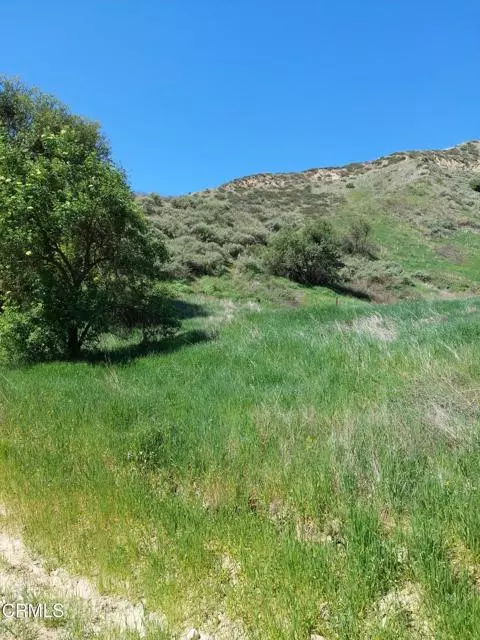 Val Verde, CA 91384,0 Loma Verde Mountainway
