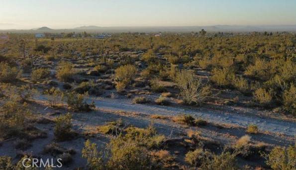 Pinon Hills, CA 92372,0 Calaveras