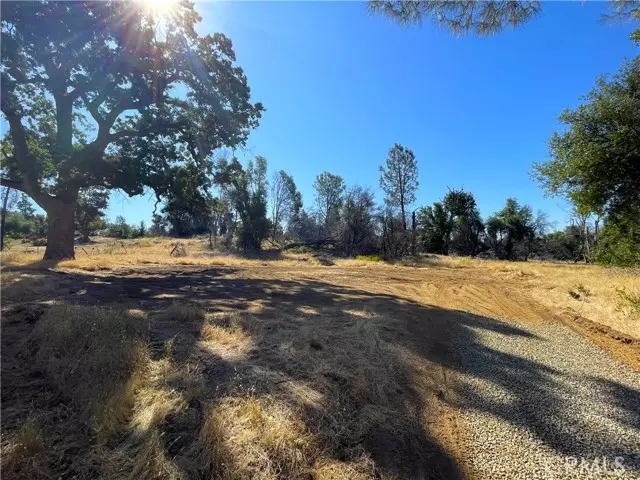 Mariposa, CA 95338,705 Triangle RD