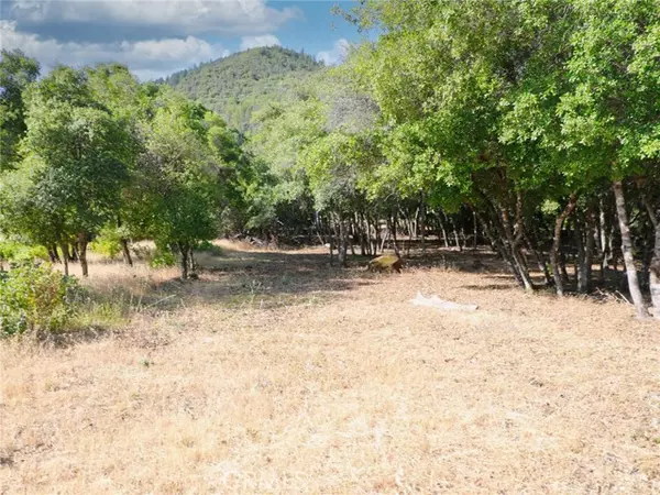 Kelseyville, CA 95451,3157 Riviera Heights DR