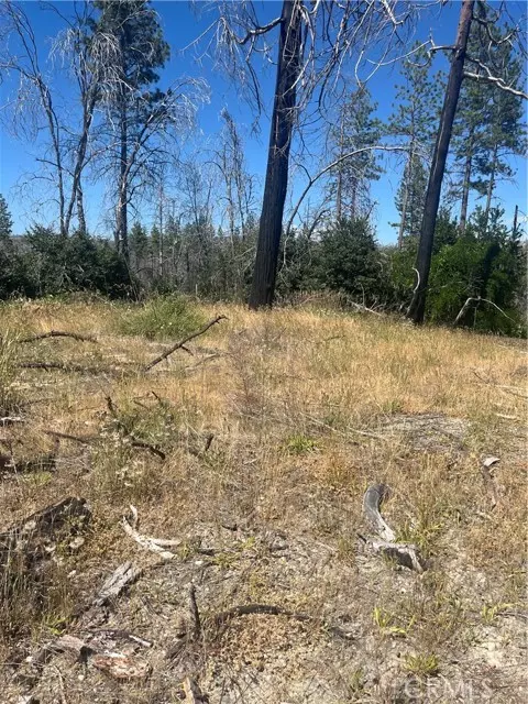 Berry Creek, CA 95916,122 Simpson Ranch RD