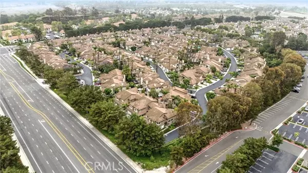 Aliso Viejo, CA 92656,5 Pappagallo