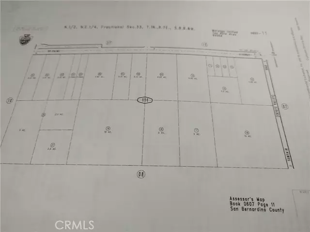 Joshua Tree, CA 92252,0 Cactus