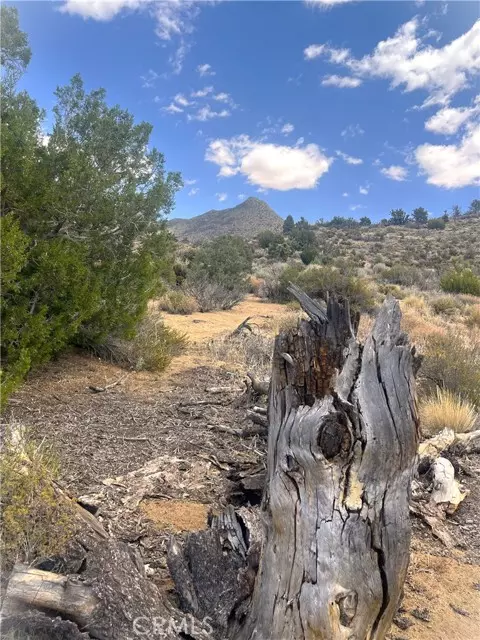 Onyx, CA 93255,0 Pine Hollow Rd