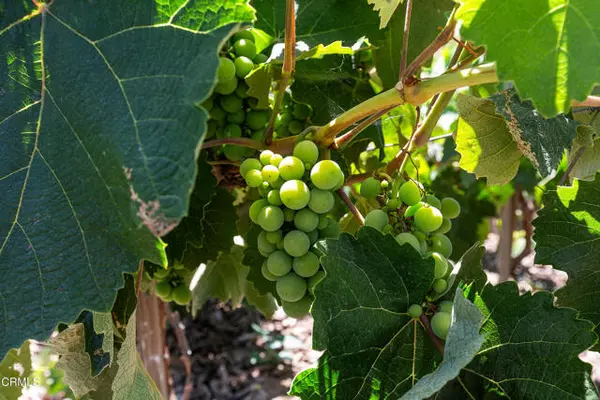 Camarillo, CA 93012,12127 Presilla RD