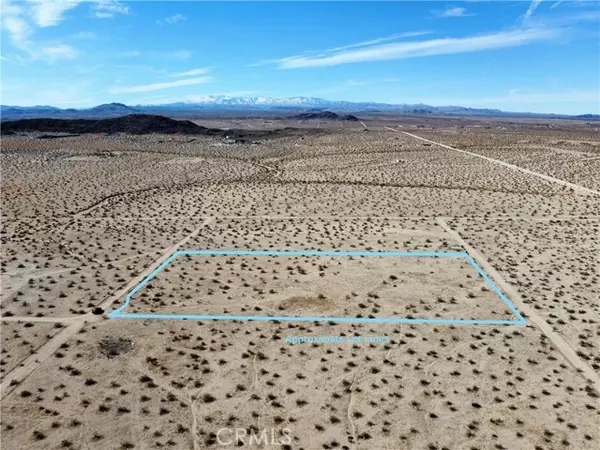 Joshua Tree, CA 92252,46 Desert Lily ST