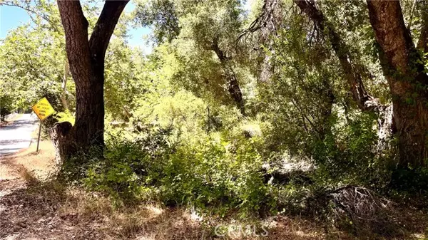 Murrieta, CA 92562,19 Hombre