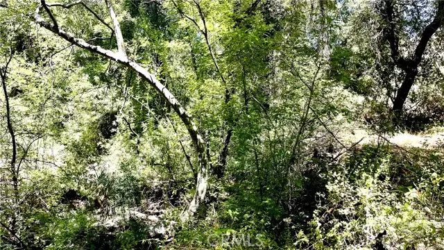 19 Hombre, Murrieta, CA 92562