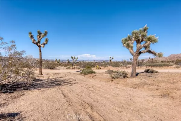 Joshua Tree, CA 92252,107 Juniper RD