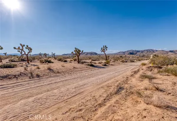 Joshua Tree, CA 92252,107 Juniper RD
