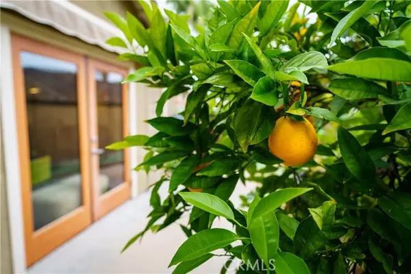 San Clemente, CA 92673,3163 Inclinado