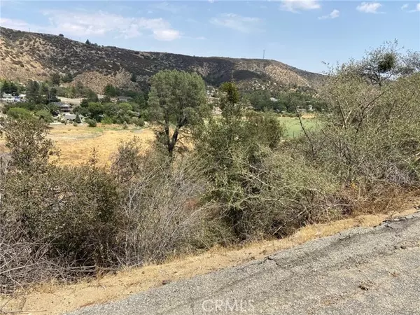 Lake Hughes, CA 93532,0 Vac/Austin Way/Vic Newview DR