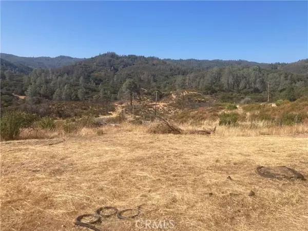 Kelseyville, CA 95451,9850 Adobe Creek RD