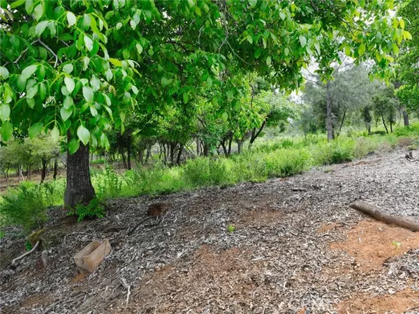 Kelseyville, CA 95451,3210 Skyline DR