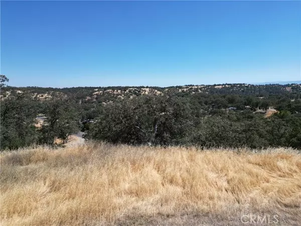 Corning, CA 96021,6875 Remunda RD