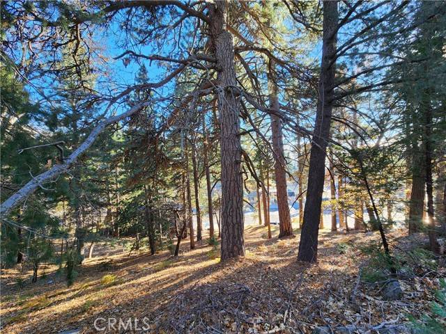 0 Lovers LN, Rimforest, CA 92378