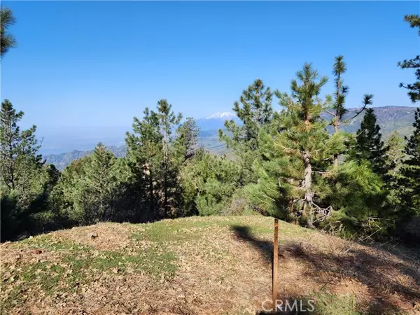 Running Springs, CA 92382,30110 Skyline