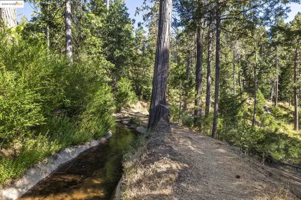 Twain Harte, CA 95383,22693 Tamarack Dr