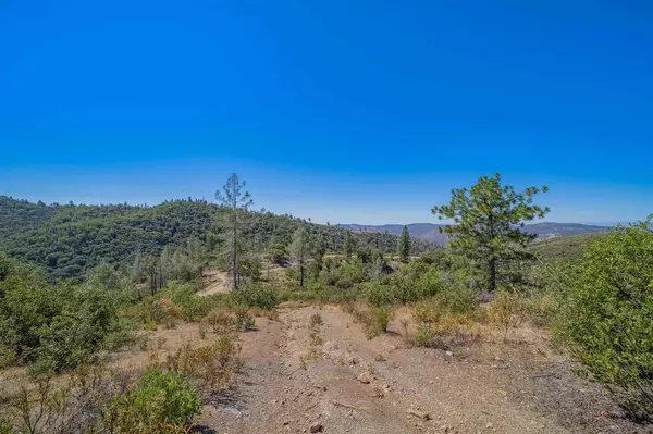 Big Oak Fl, CA 95305,0 Ponderosa Way.