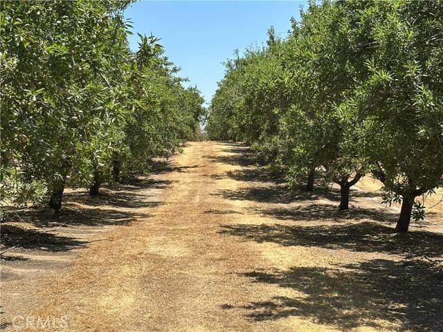 Madera, CA 93636,29710 Avenue 15 1/2