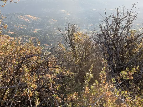 Tehachapi, CA 92561,0 Fox Ridge Court #2