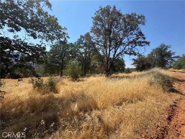 Oroville, CA 95965,0 Oregon City Tr