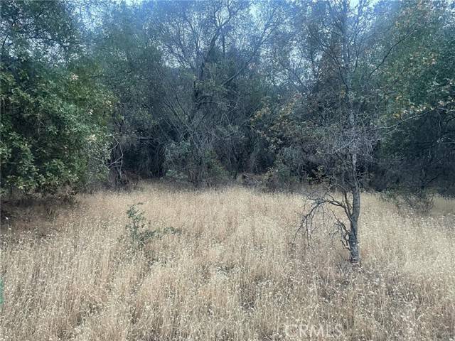 43020 Apache Ranch RD, Ahwahnee, CA 93601