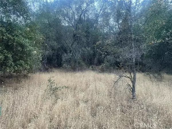 43020 Apache Ranch RD, Ahwahnee, CA 93601