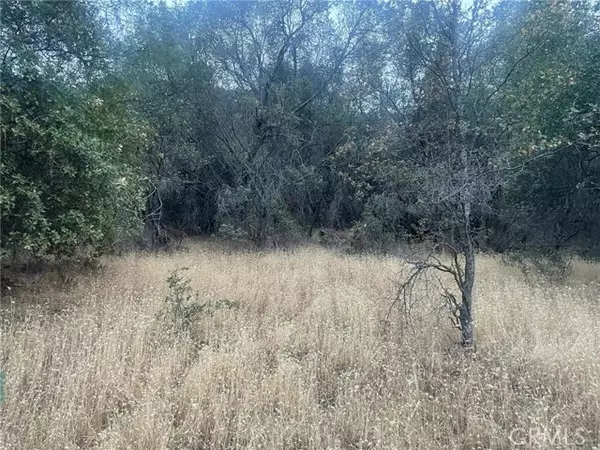 43020 Apache Ranch RD, Ahwahnee, CA 93601