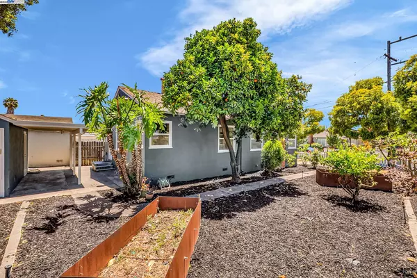 San Leandro, CA 94577,205 Julius St