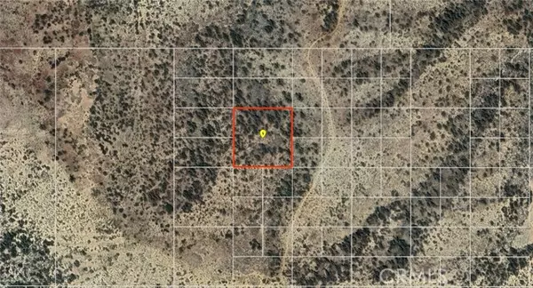 Pinon Hills, CA 92372,0 APN# 3036-271-16-0000