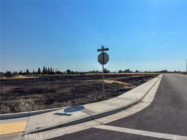 Orland, CA 95963,698 Hambright (Corner Hwy 32) AVE