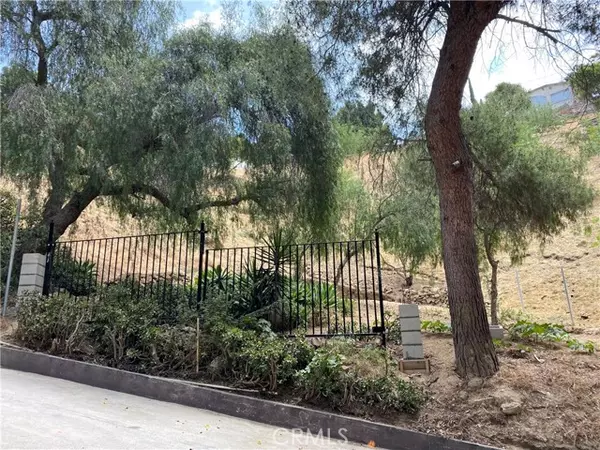 Los Angeles, CA 90065,1539 N Cliff DR