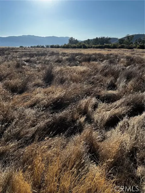 Lake Elsinore, CA 92530,0 Morton